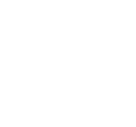 63