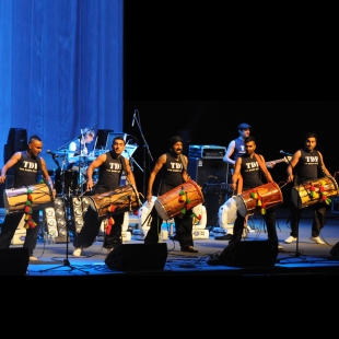dhol-foundation