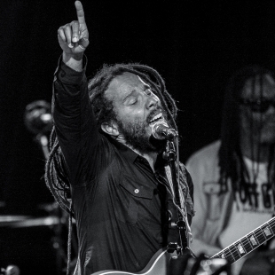 ziggy-marley