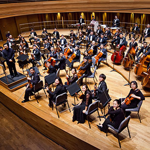2019-metropolitan-festival-orchestra