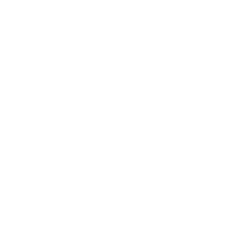 Wi-Fi Connectivity icon